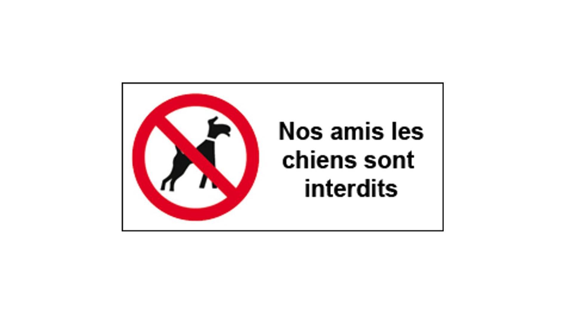Studio Lumineux Et Plein De Charme Blois Zewnętrze zdjęcie